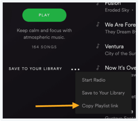spotify player embed