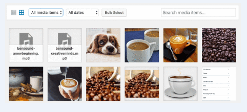 how to upload documents from WP Admin Media Library