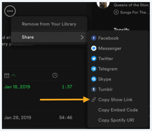 Spotify Desktop App